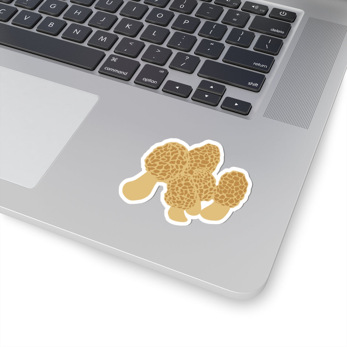 Morel Mushroom Sticker | Forest Fungi Decal, Forwaterproof Laptop Car