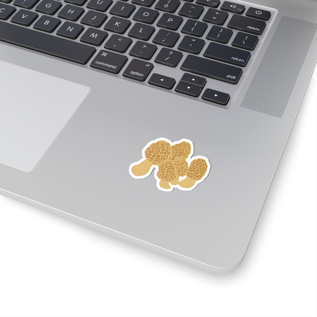 Morel Mushroom Sticker | Forest Fungi Decal, Forwaterproof Laptop Car