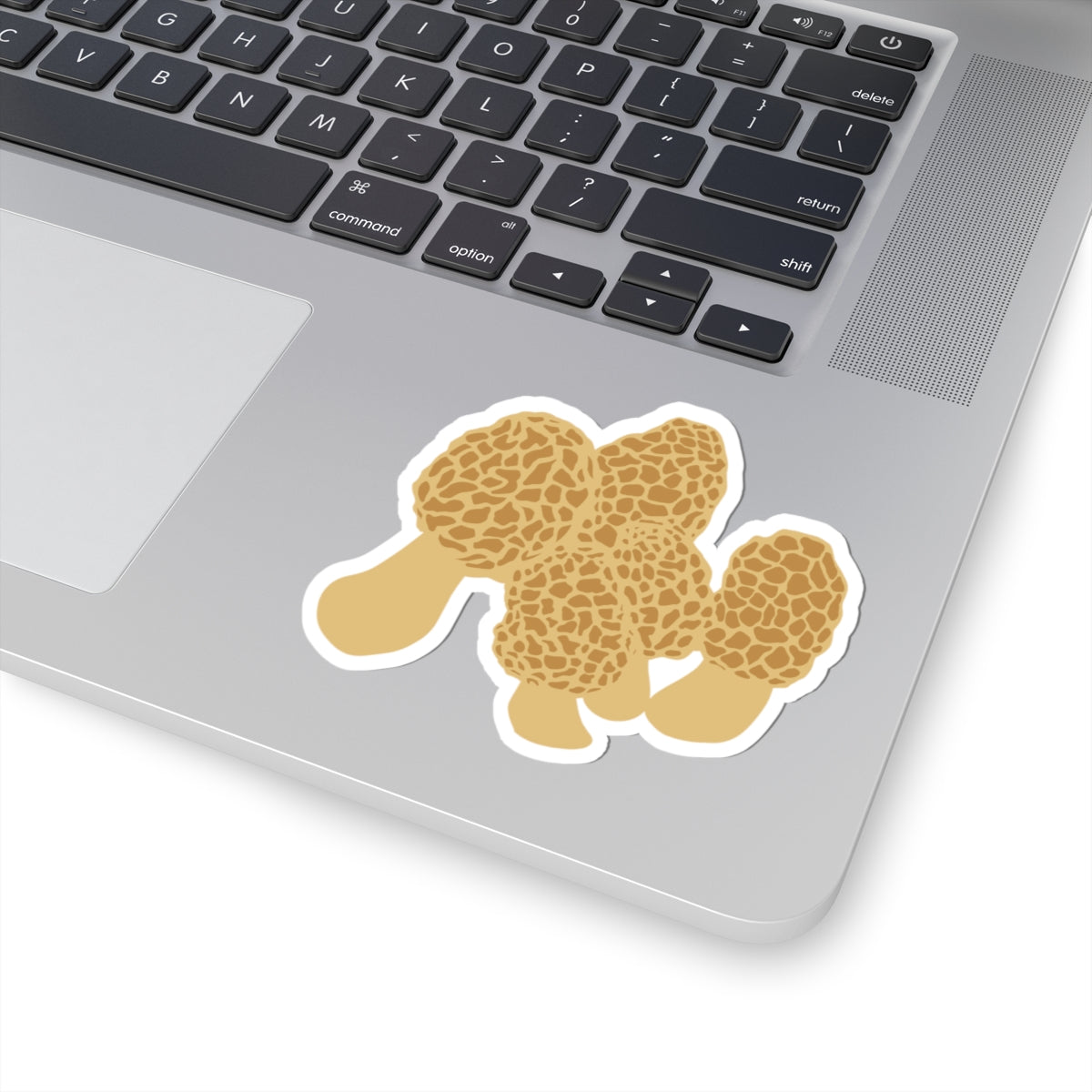 Morel Mushroom Sticker | Forest Fungi Decal, Forwaterproof Laptop Car